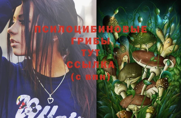 mix Алексин