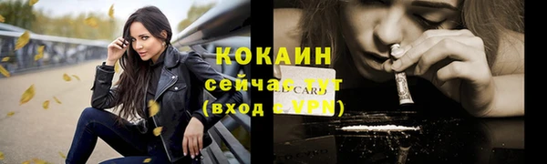 прущие грибы Пересвет